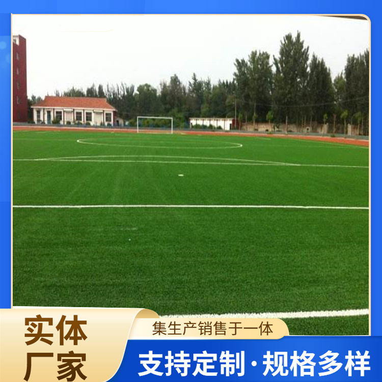 杭州市橡胶跑道人造草坪 - 厂家